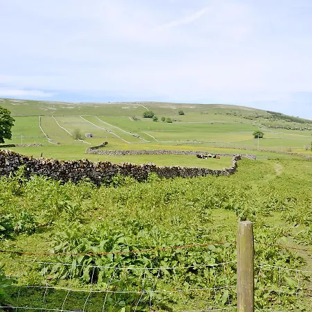 Castle Farm * 奥顿